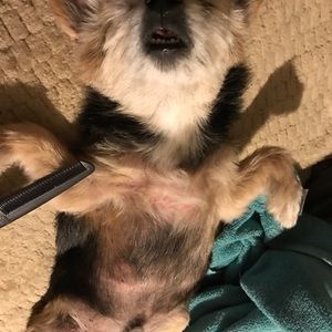 Meet your Posher, Paul